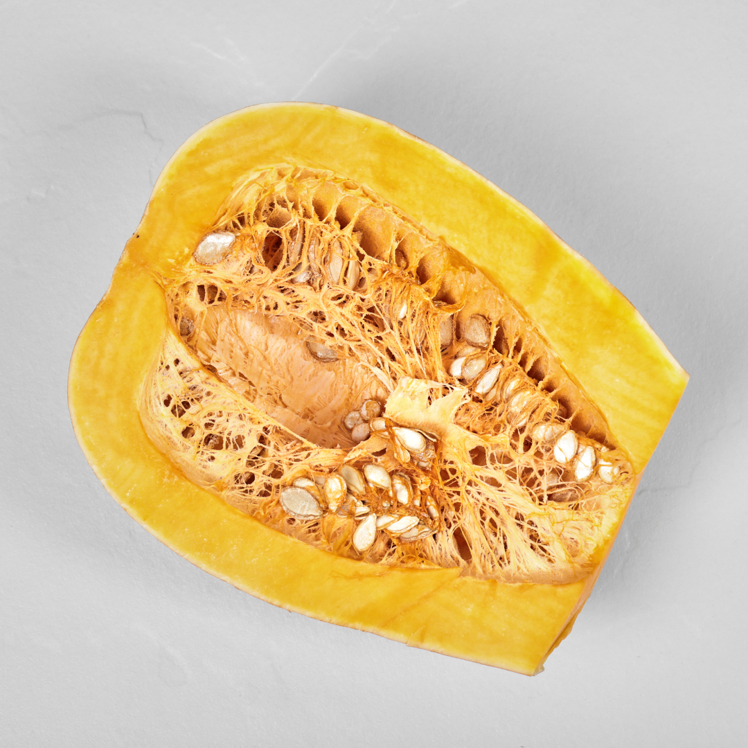 Pumpkin- SHS100