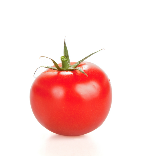 Tomato- SHS403