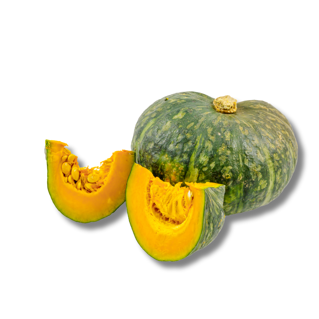 Pumpkin- SHS101