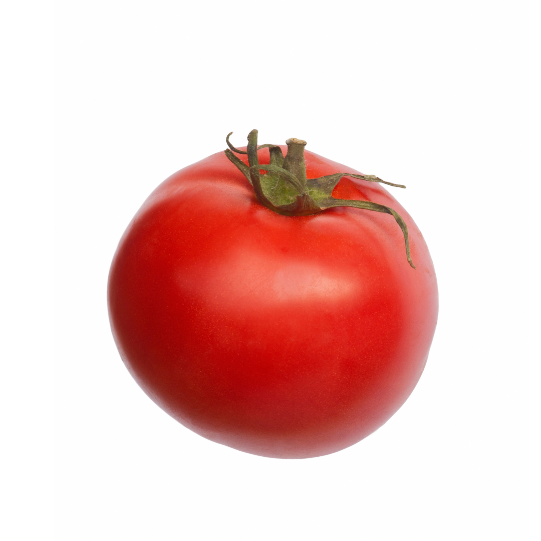 Tomato- SHS404