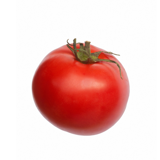 Tomato- SHS404