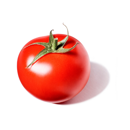 Tomato- SHS407