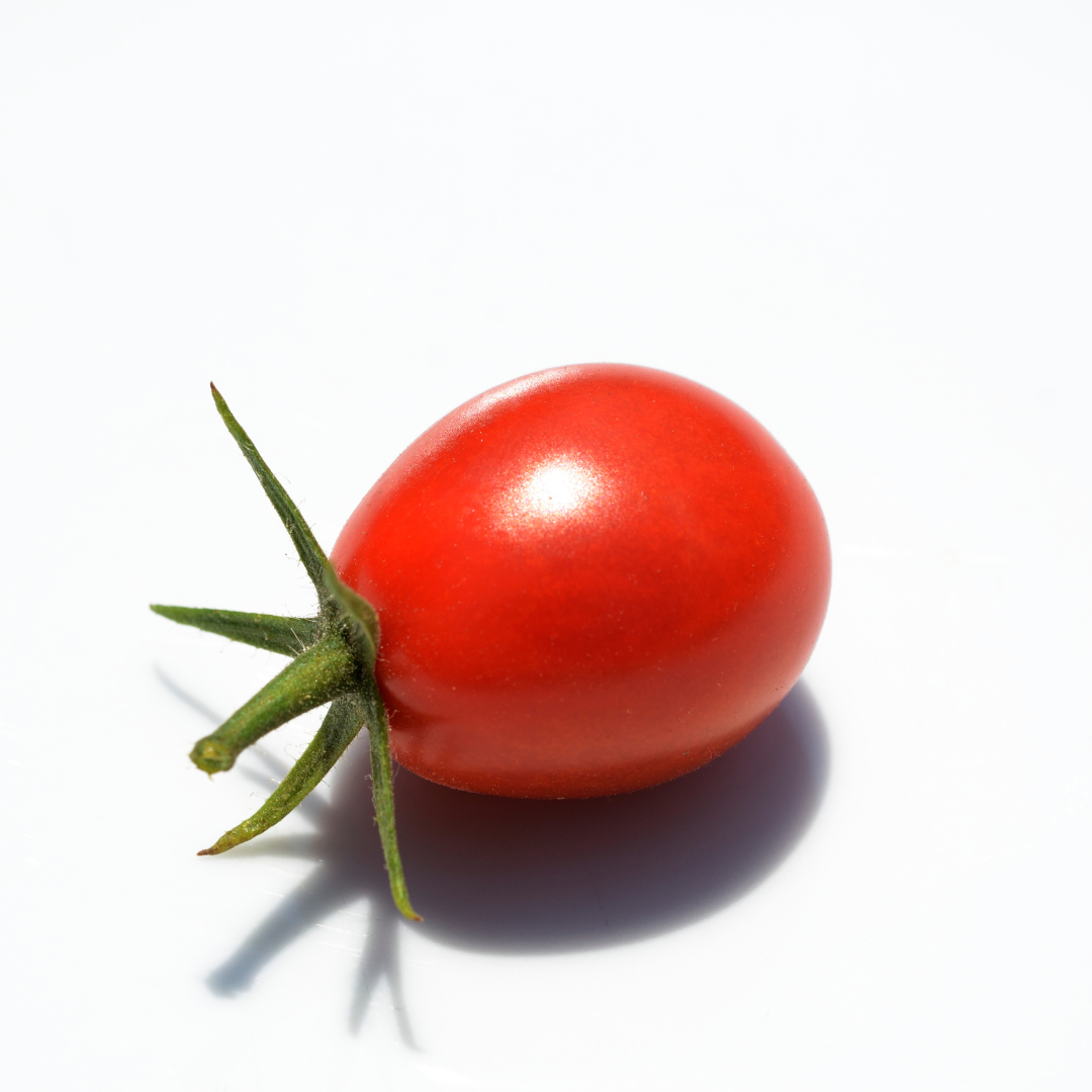 Tomato- SHS409