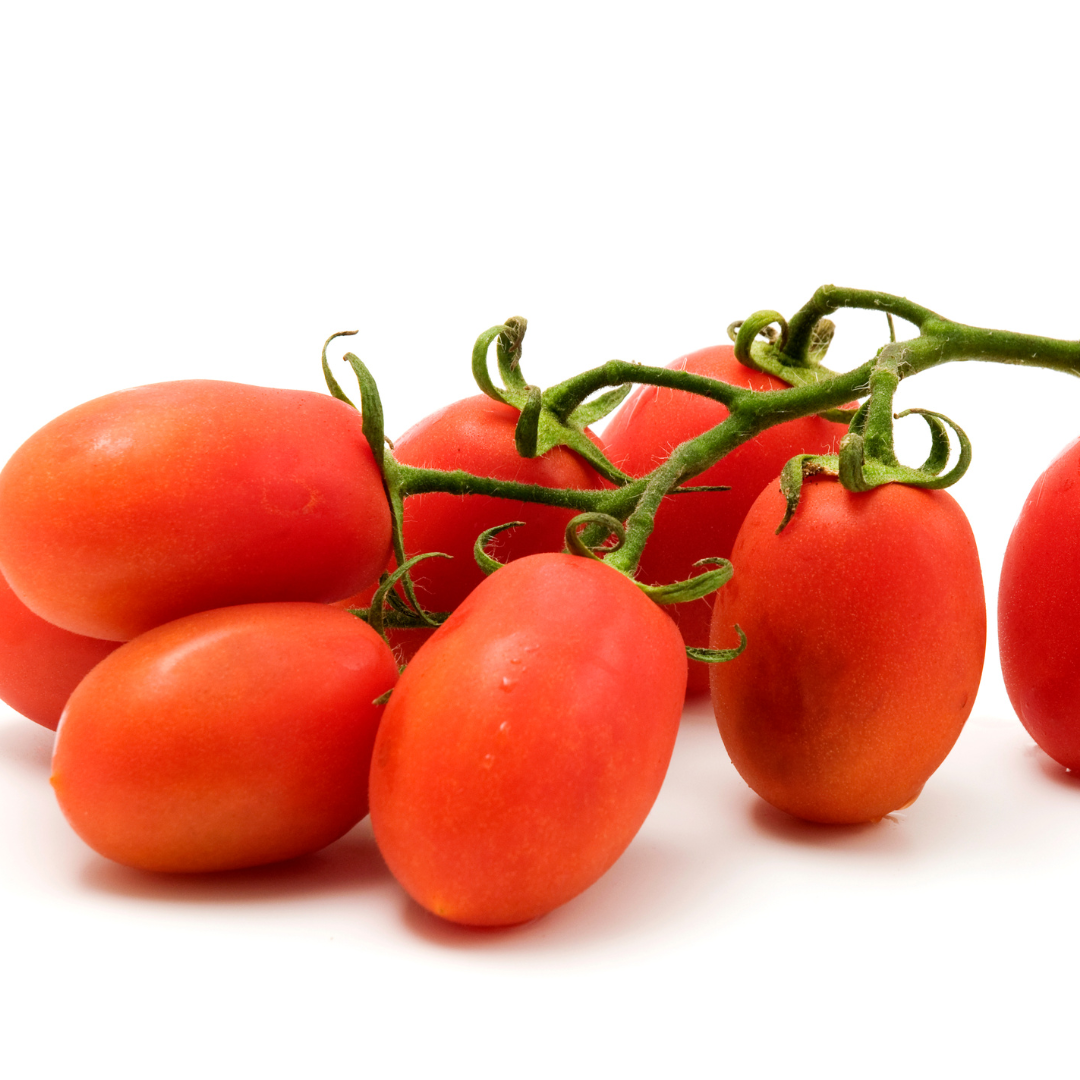 Tomato- SHS409