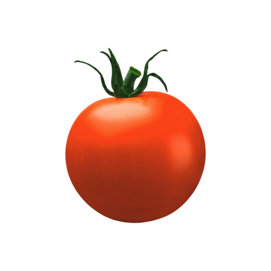 Tomato- SHS410