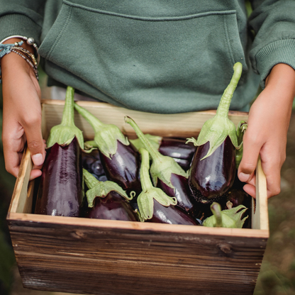 Brinjal 7000