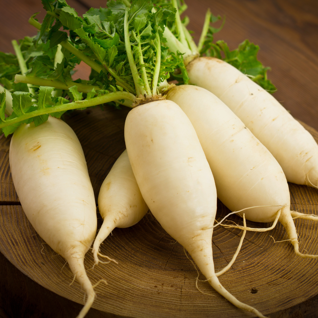 Radish SHS2000