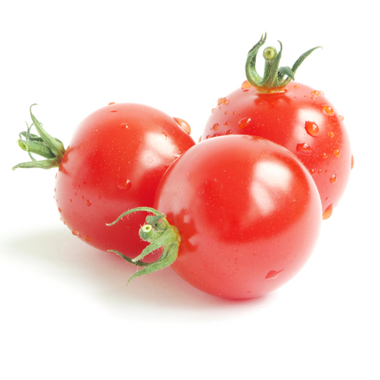 Tomato- SHS413