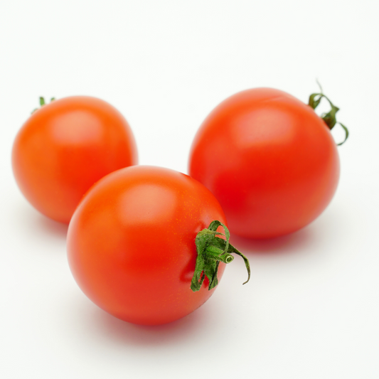 Tomato- SHS414